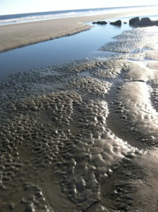 Beach patterns photo by Lisa Lindahl