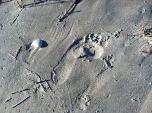 footprint photo by Lisa Lindahl